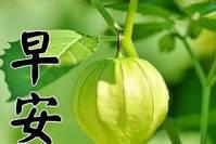 8张非常漂亮清新简约冬日早上好图片带字带祝福语的早安问候祝福