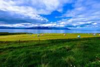 学会：放低自己，放空自己，放过自己！