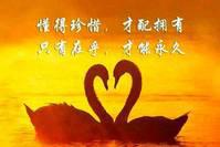 人和人之间就是这样，你珍惜我，我更珍惜你，珍惜永远都是相互的