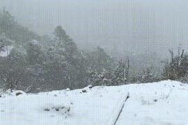 风急夜冷高山险皑皑冬雪戍边忙12月23日腾冲市明光、猴桥、滇滩3个边境乡镇相继下起了大雪