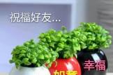 懂得欣赏自己的生活，才能让自己活得随心所欲，早安