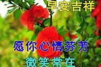 9张冬天最美早上好表情动态祝福图片带字和鲜花