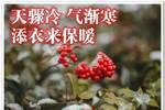 早安吉祥：多一点轻松，少一点忙乱，祝你快乐到永远，早安