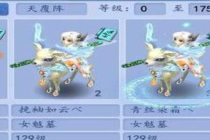 梦幻西游：129级五开队伍选择，主流配搭及个性组合玩法