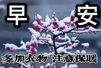 9张最新冬日风景雪景早上好祝福图片带字温馨