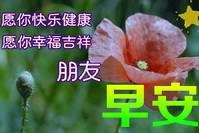 2022年最新早上好阳光祝福图片，问候朋友的早安心语正能量句子