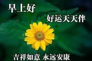 早安吉祥：一花一世界，一笑一尘缘，早安