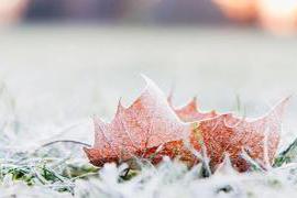 作者：黎荔立冬之日 在初雪的窗边的回忆