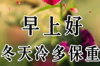 9张创意最美早上好动态图片表情带字和鲜花免打字冬日早安问候语