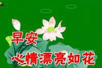 8张冬天最美早上好问候祝福动态图片鲜花带字