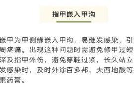 本文转自：上海长宁小小病甲|【健康】指甲可是全身疾病的“信号灯”，千万别大意！