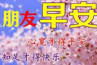 2022最新早上好鲜花动态漂亮图片大全，早上好祝福语句子！