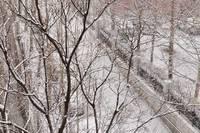 2022年济南第一场雪！漂亮的雪景请你欣赏