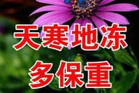 虎年精选新的一天早安祝福语短信，微信早上好问候祝福语句子