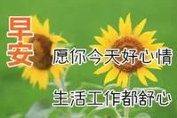 1月24日早晨聊天不用打字的图片大全集不用打字的聊天表情动态图