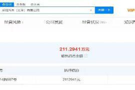 1月24日消息|乐视汽车（北京）新增一条被执行人信息211万余元