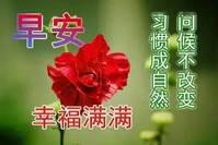 超温馨问候早安祝福语表情动态图片，清晨暖心早安祝福语