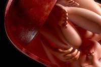 若孕期不注意这几点，可能会出现前置胎盘，会影响胎儿发育！