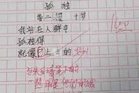 生活是我们最好的老师，小学生的作文