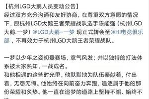 原杭州LGD大鹅一梦转会后注销微博，原因真的多少沾点