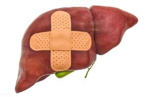 肝损伤了吃什么护肝药?医生提醒:肝损伤最重要的不是吃护肝药。