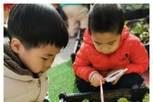 重庆幼儿园团年吃火锅，自己种的食材吃起来更香