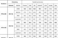 2040张图片训练出的ViT，准确率96.7%，连迁移性能都令人惊讶