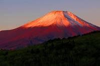 汤加火山彻底苏醒后，富士山突然传出异动！日本超级天灾倒计时？