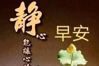 寒冷清晨早安好看暖心的最新朋友圈早上好问候表情动态图片