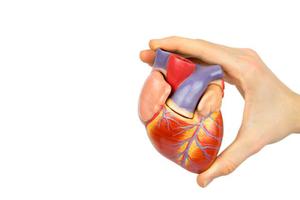 心脏好不好,抽血化验也能查出来!医生解读心内科常见的2大指标。