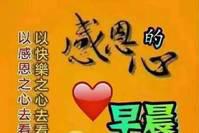 2022虎年朋友圈最美早晨好微信漂亮的清晨早上问候祝福语