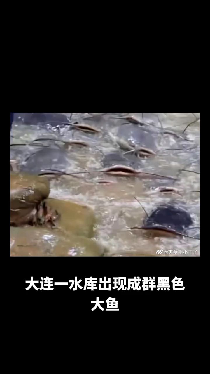 d8ff3cb63663c1bf7d749ddac8e9ca16.jpeg