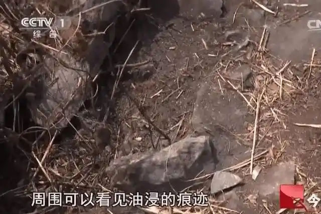 未标题-1.jpg