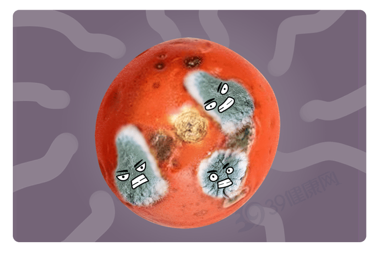 33d036dc05f736faf5d6117c47872f23.png